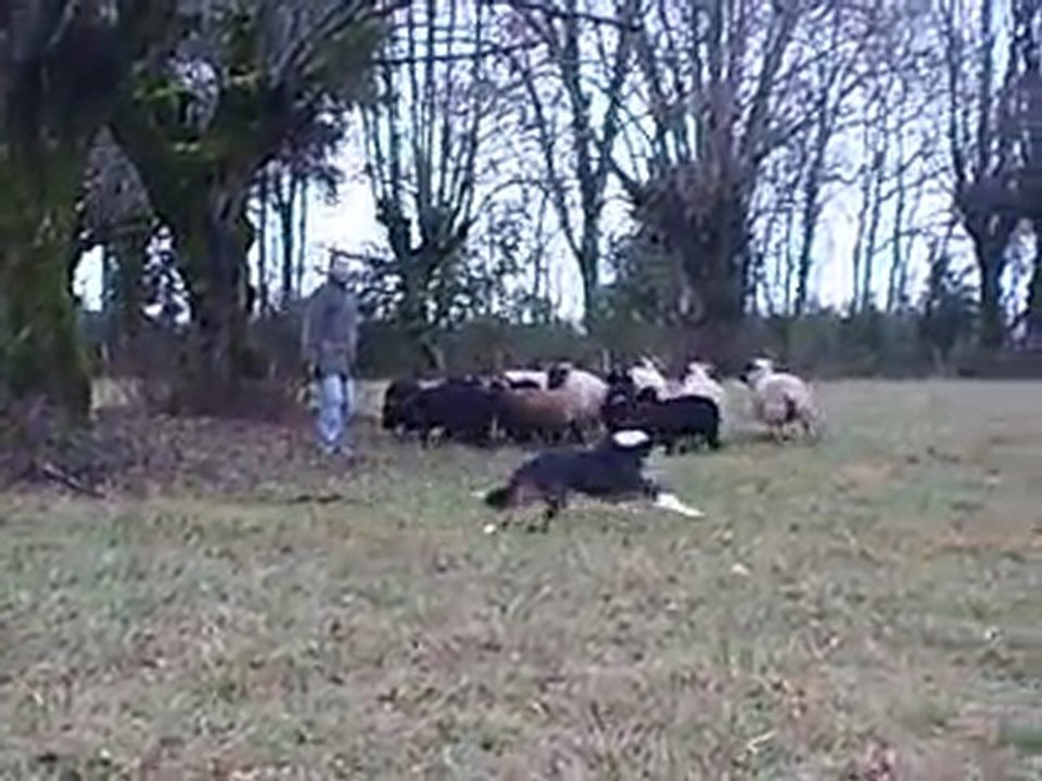 Goal le 28-01-12   01