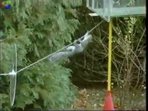 Görevimiz Tehlike'nin Sincap Versiyonu!