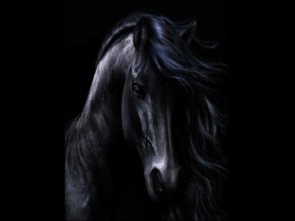 BLACK BEAUTY FULL SOUNDTRACK...