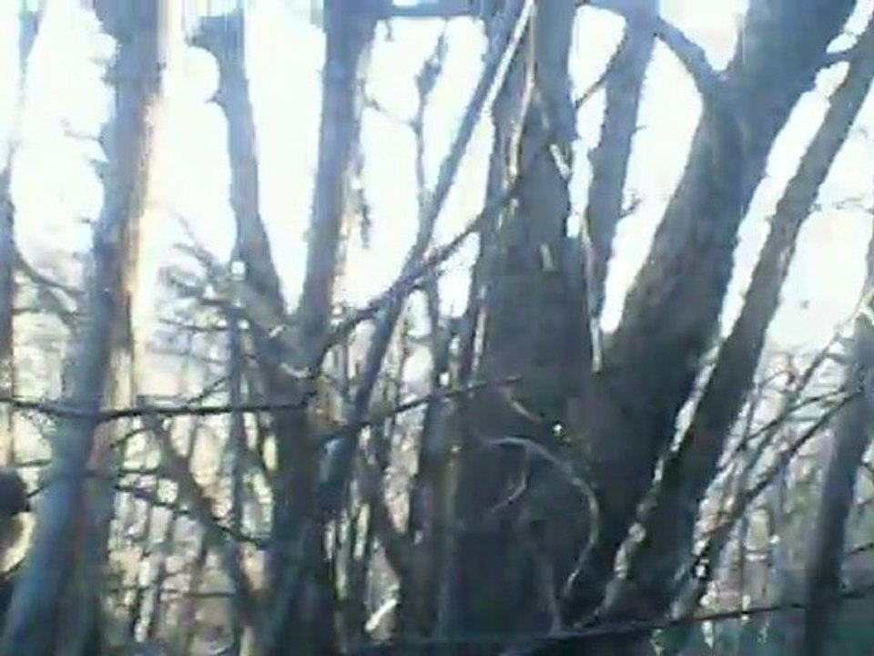 Petite OP entre amis 03