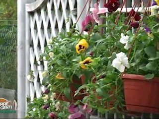 TERRE E GENTI MALATESTIANE - Riccione, parte1