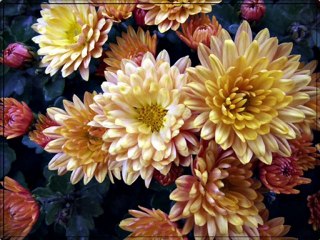 Kasımpatı ve Konya Mevlana Dergahı