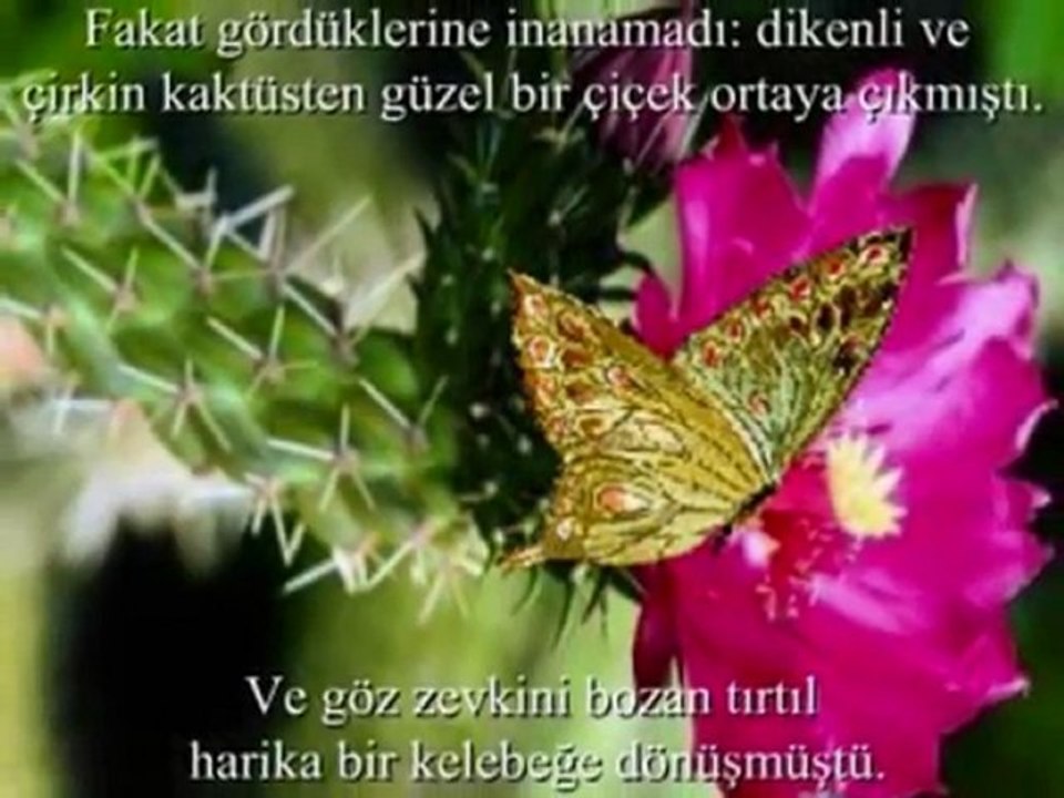 Urfa Sevdam Fm Yayında Sedat Uçan Allahu Allah