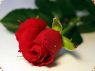 RÓZSÁS HÉTVÉGÉT