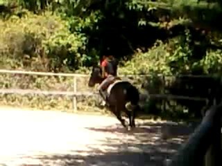 Concour juin 2011 Tom-Tom