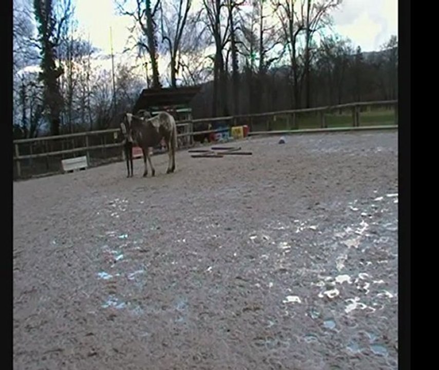 22 janvier 2012 (5)