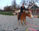 Reiten ohne Zaumzeug