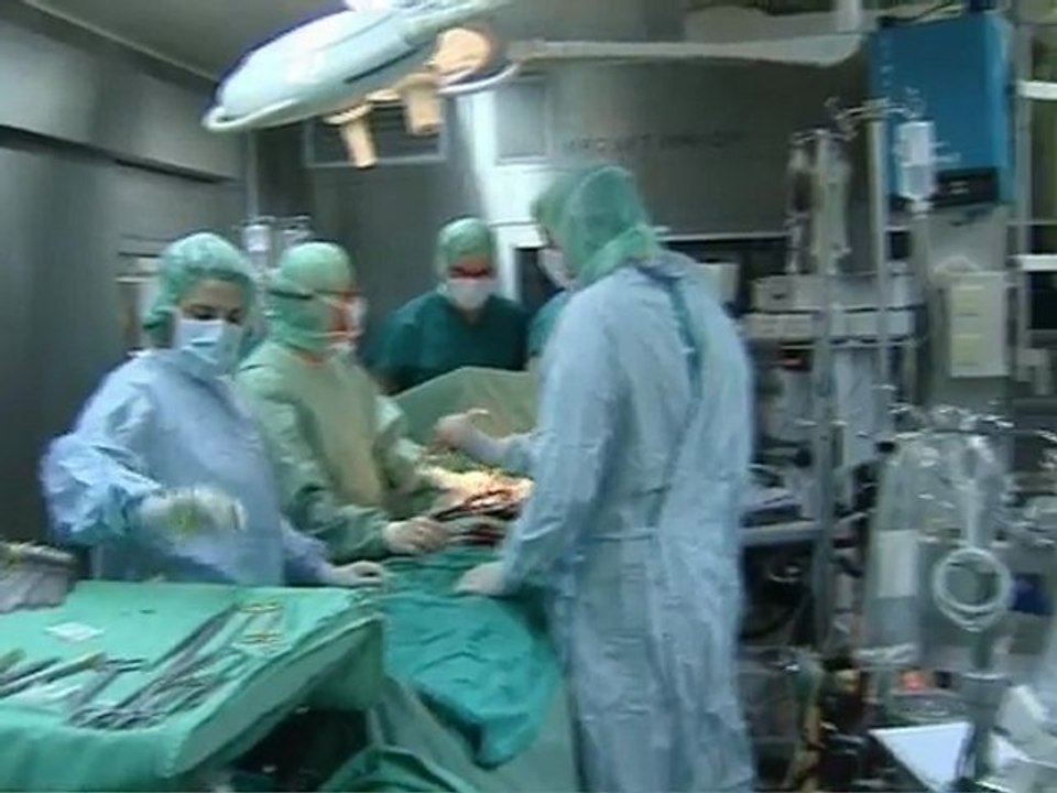 220409_TRANSPLANTACIA_BEBETA_IVA_NEWWWWW