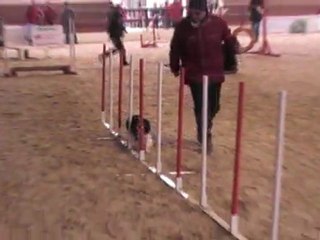 CHOUIA OPEN LAHONCE 29 01 2012