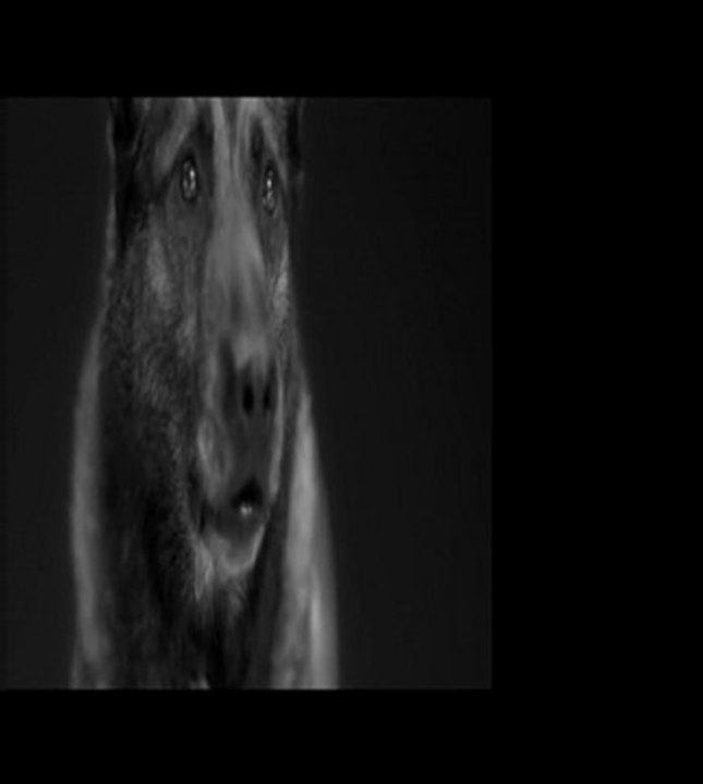 Gareth Emery - Tokyo (Ben Gold Remix)  Music Video 2012