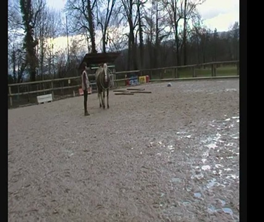 22 janvier 2012 (6)