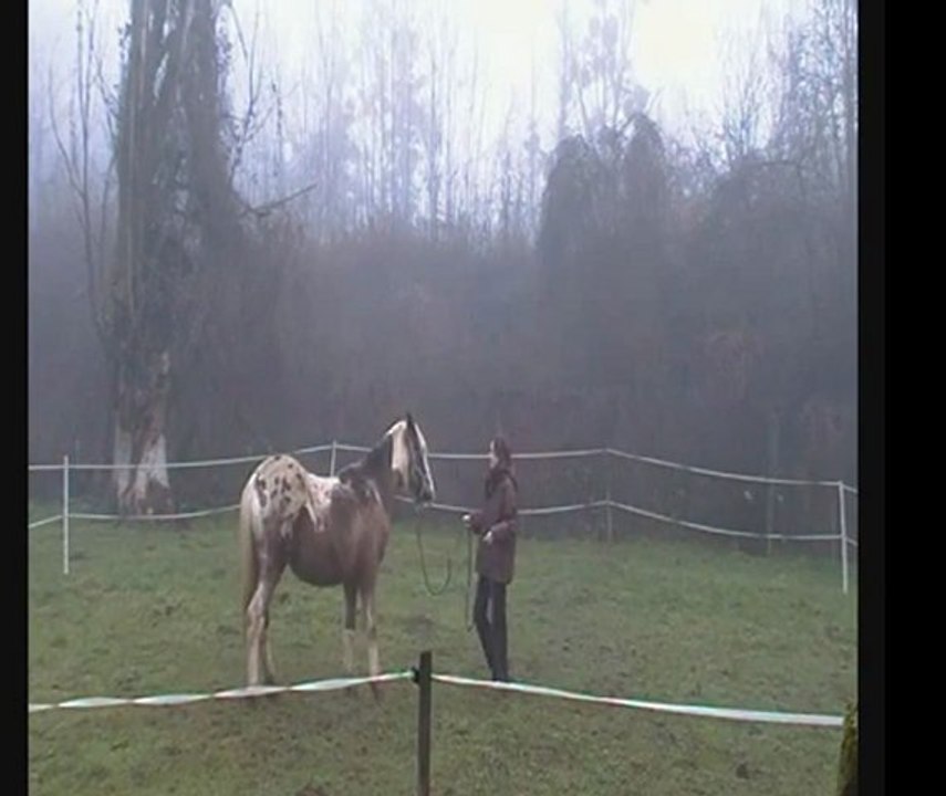 28 janvier 2012