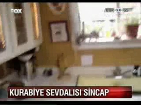 Fox 28 Part 5 O WWWOLAYWEBCOM