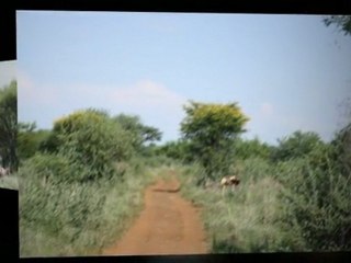 Hunting - Whenwe Safaris