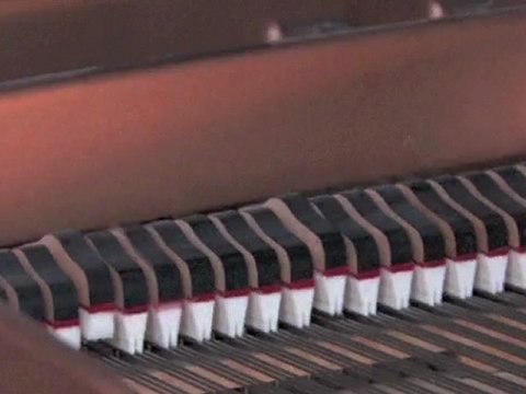 JS Bach - Largo BWV 973 - Racha Arodaky, piano