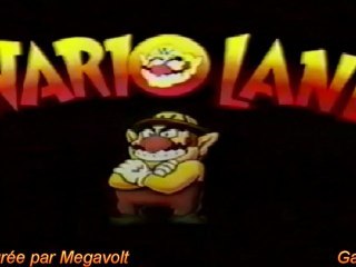 Publicé wario land Gameboy