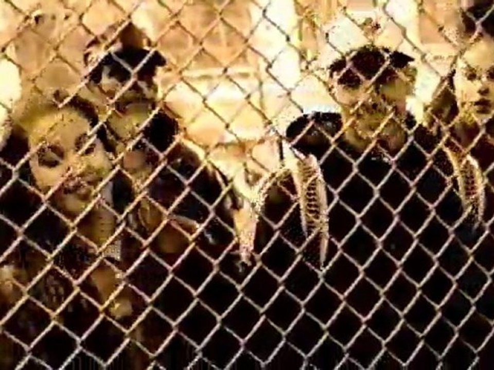 Heather B - I Get Wreck [1992]