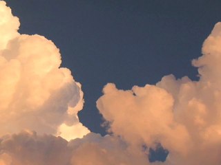 Healing With Love: Meditation for World Peace