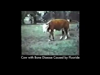 Fluoride in Water: What You Need to Know 🧪