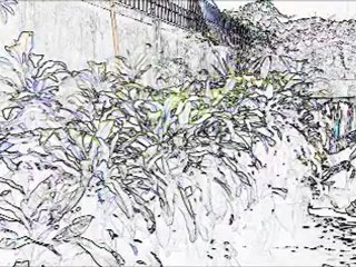 Interview with Master Moran Part 1