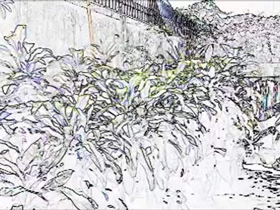 Interview with Master Moran Part 1