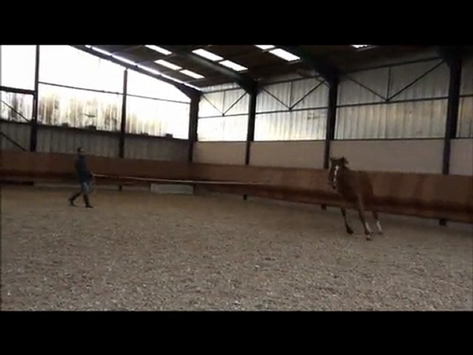 Atyka du Bourg janvier 2012