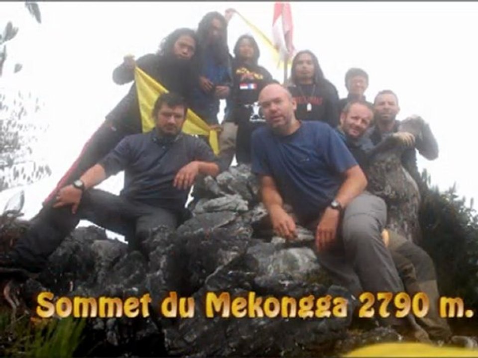 Mekkonga 2011