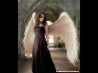 şiir dinle aldırma amatör