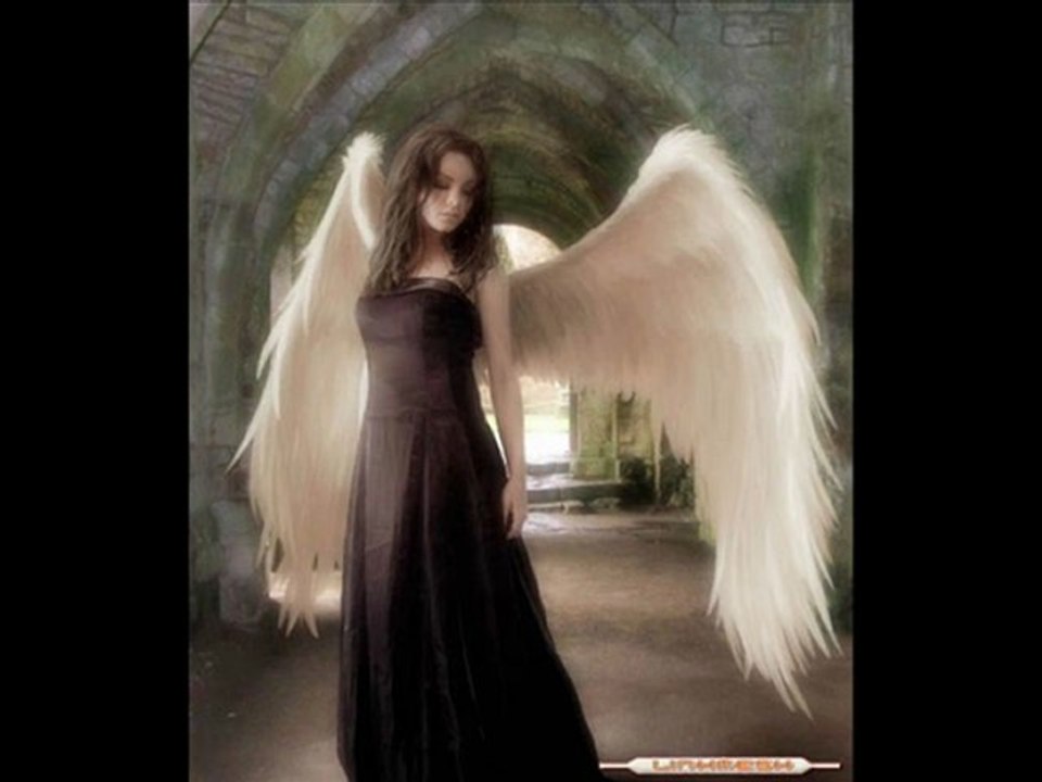 şiir dinle aldırma amatör