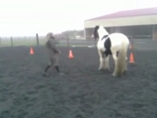 Travail au sol avec scoubidou