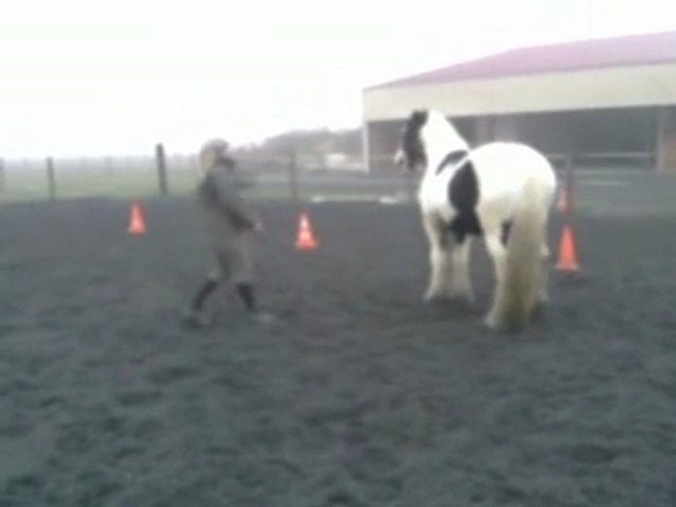 Travail au sol avec scoubidou