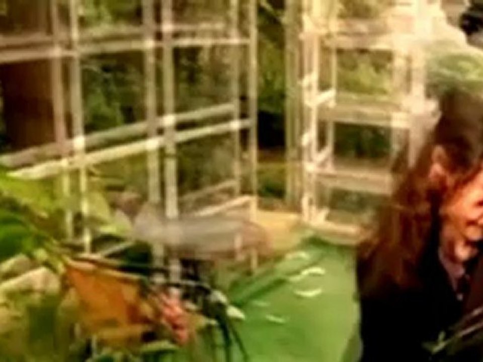 Aşk-ı Memnu, Peirasmos, Bihter Behlül_ music video, müzik vİdeo NEW