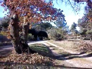 florian qui conduit :D