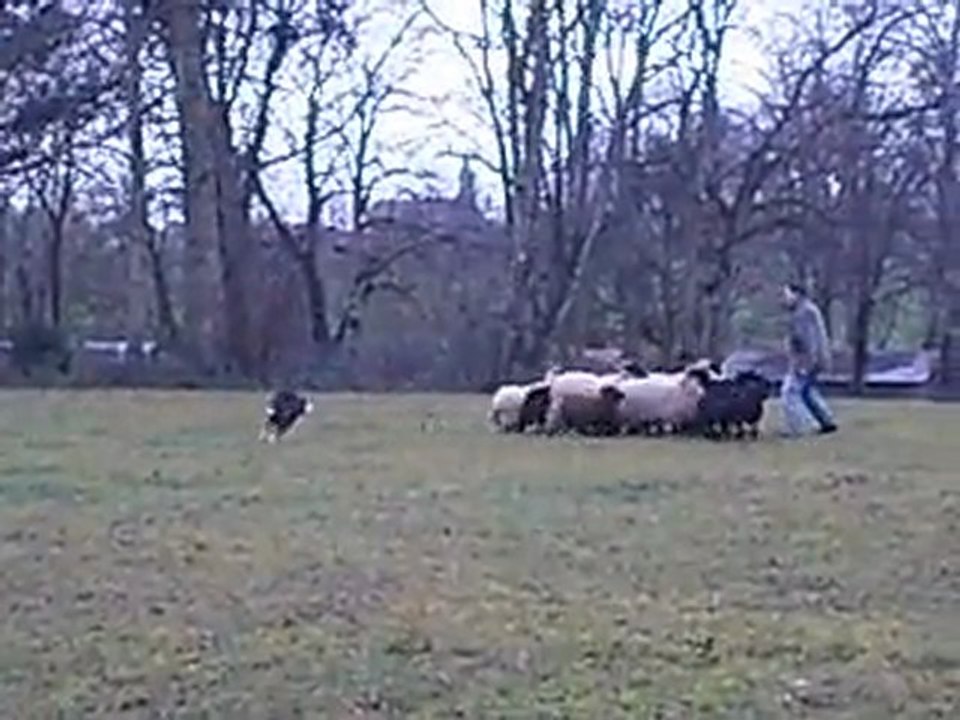 Goal le 28-01-12  02
