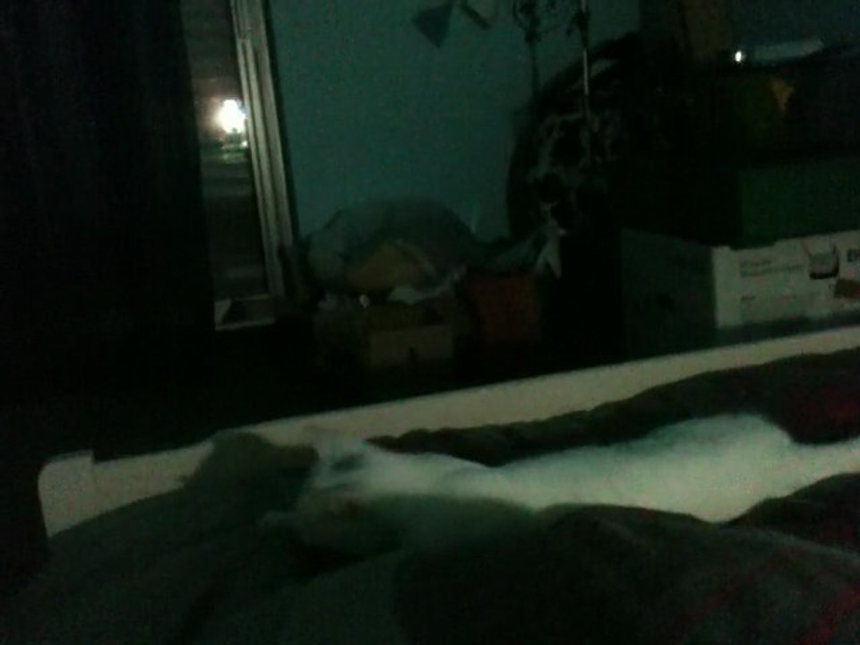 Hotah au coucher