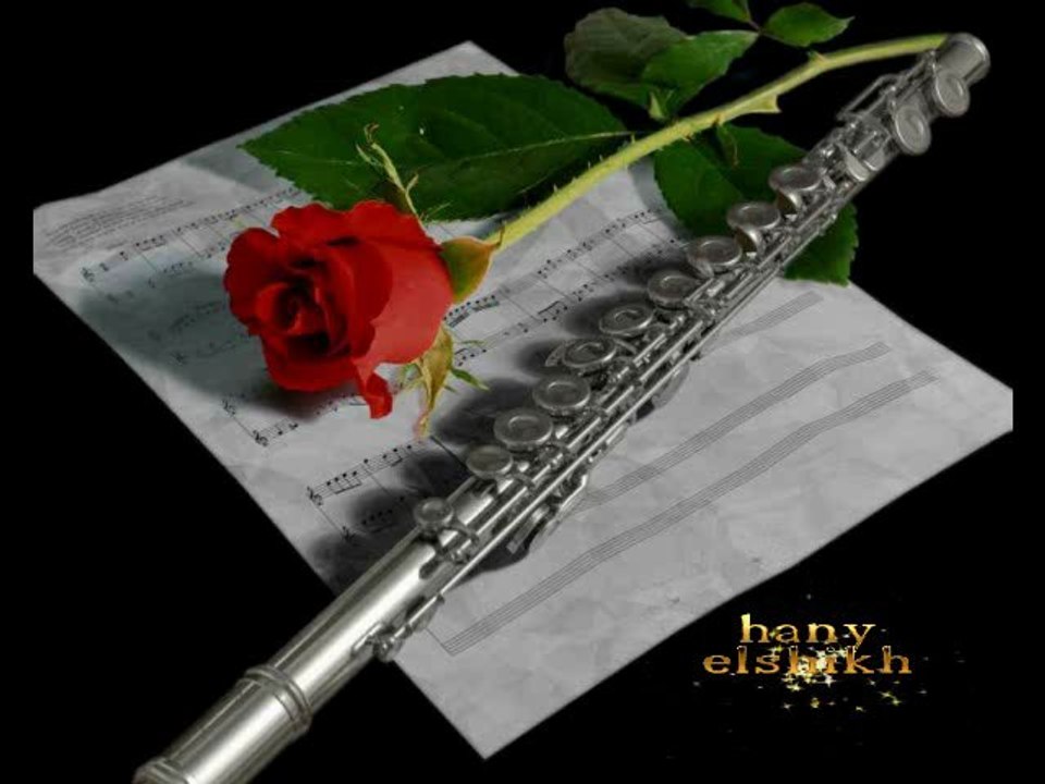 hany
