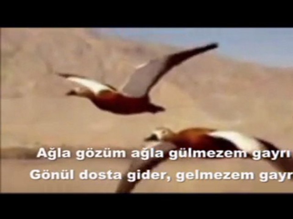 AĞLA GÖZÜM AĞLA
