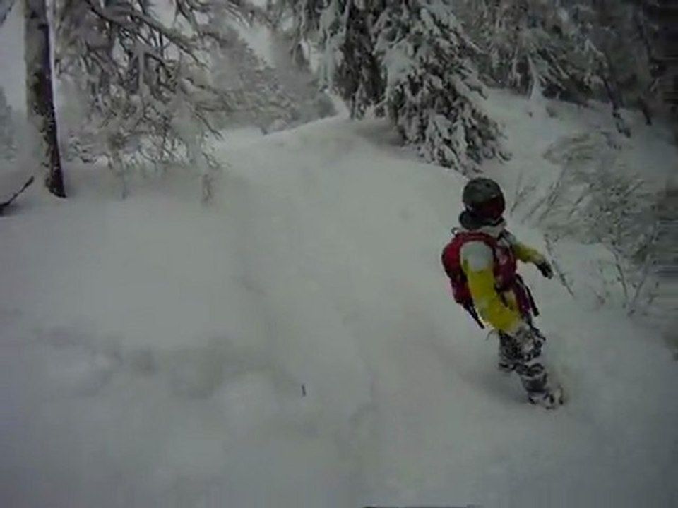 Into the white