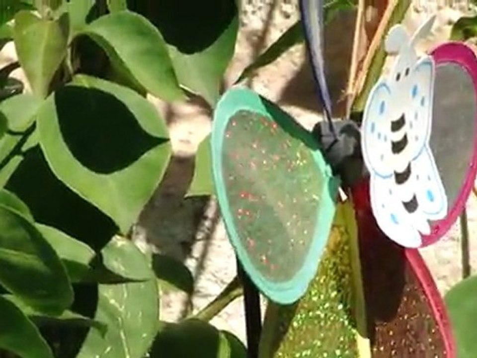 My Garden
