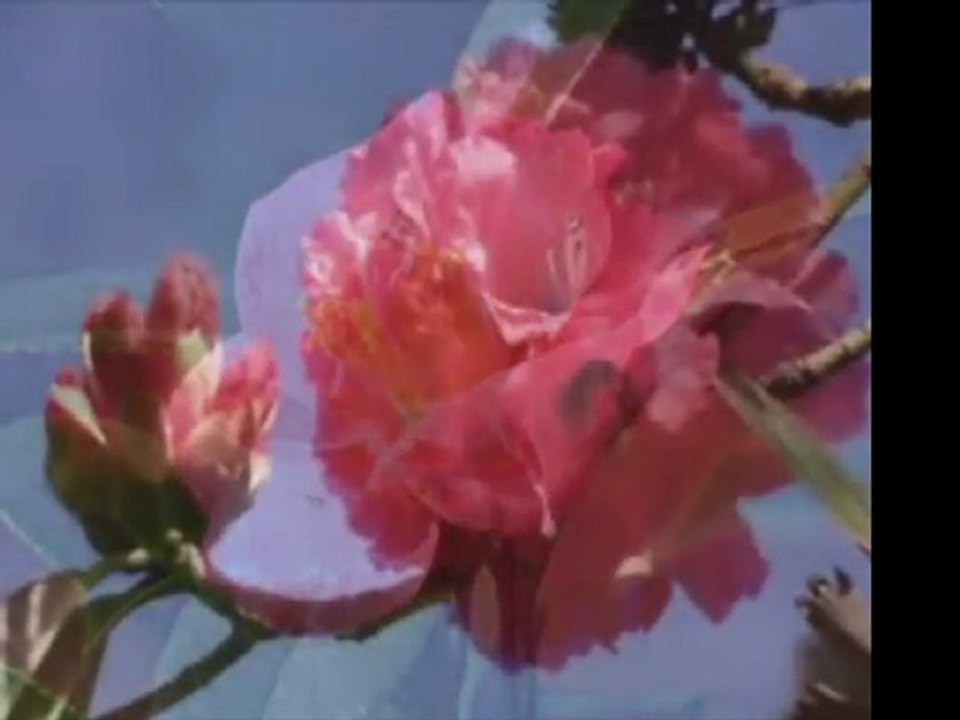 MEDLEY - La Mer / Yesterday / Till / Greensleaves / Love is Blue - Instrumental
