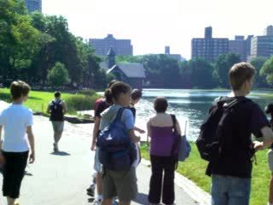 Central Park dans le vent