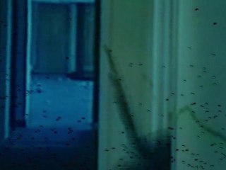 Pod Prikritie S02 E011 by dJ_TEDY