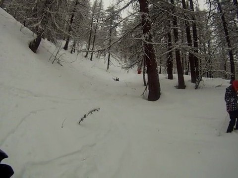 Foret Puy St Vincent - Nico roulade AR