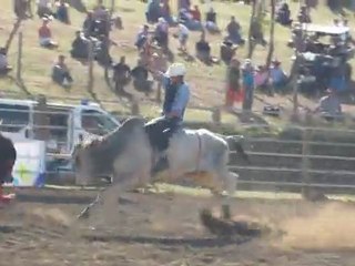 rodeo taureau foire de Koumac