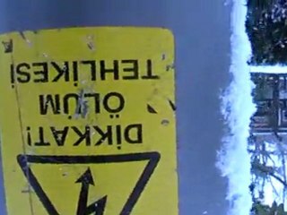 Sultanahmet'te kar, kış ve köpekler var!