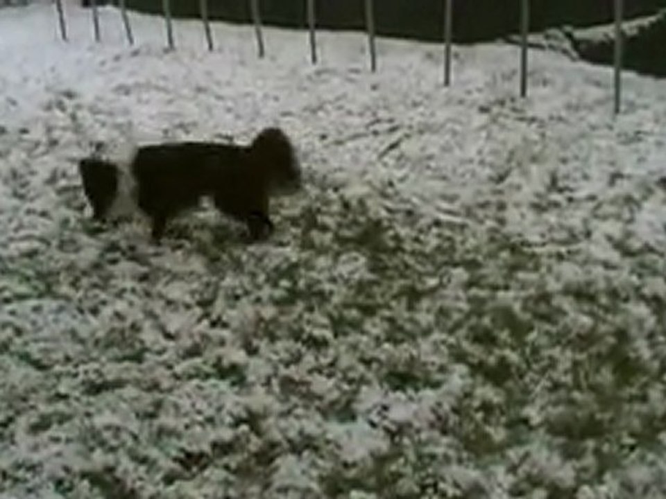 30 janvier 2012 (première neige)