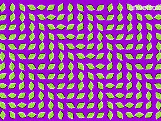 Comètes et cerveaux déconnectés