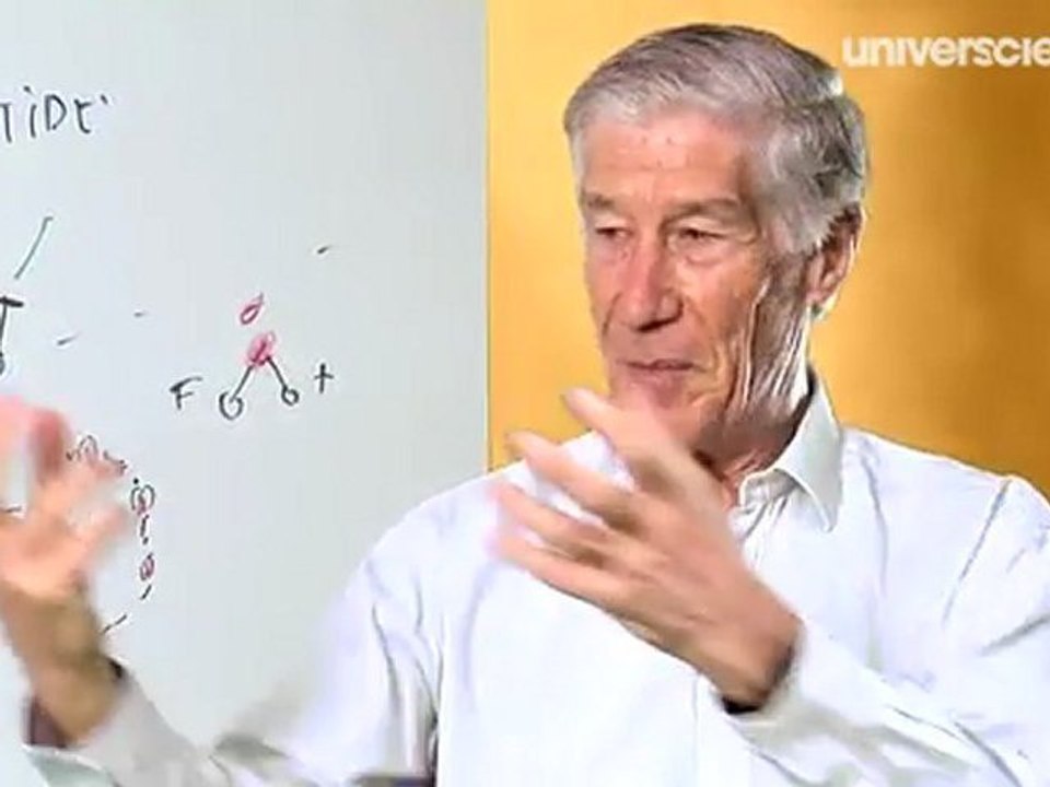 Les poissons antigel