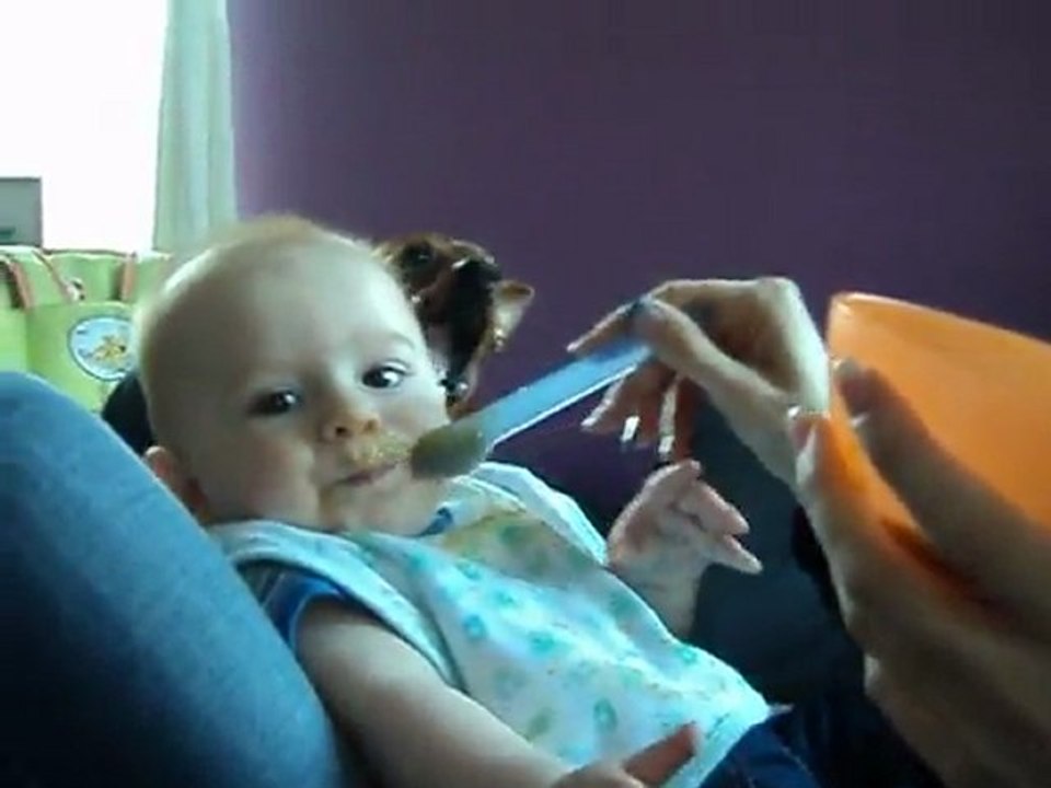 le chouchou