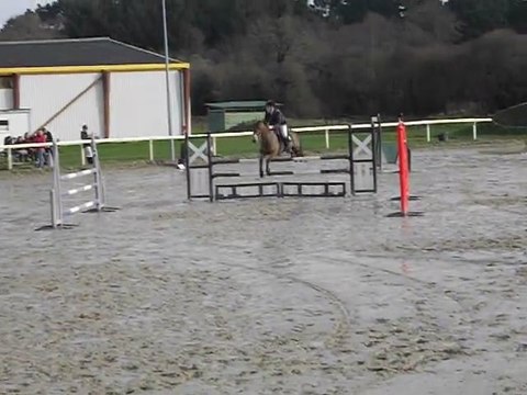 CSO Quimper 29.01.12 D1p Nouvelle Rose 8pts